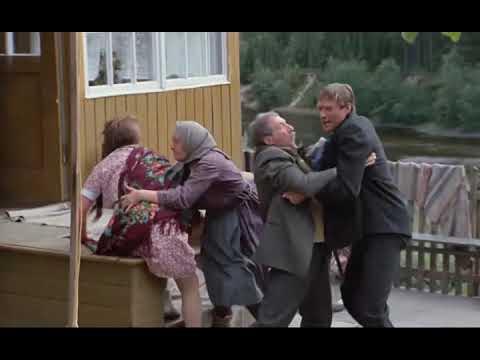 Там же юг. Там же юг культура любовь и голуби. Там же юг. Там же юг. Любовь и голуби извините.