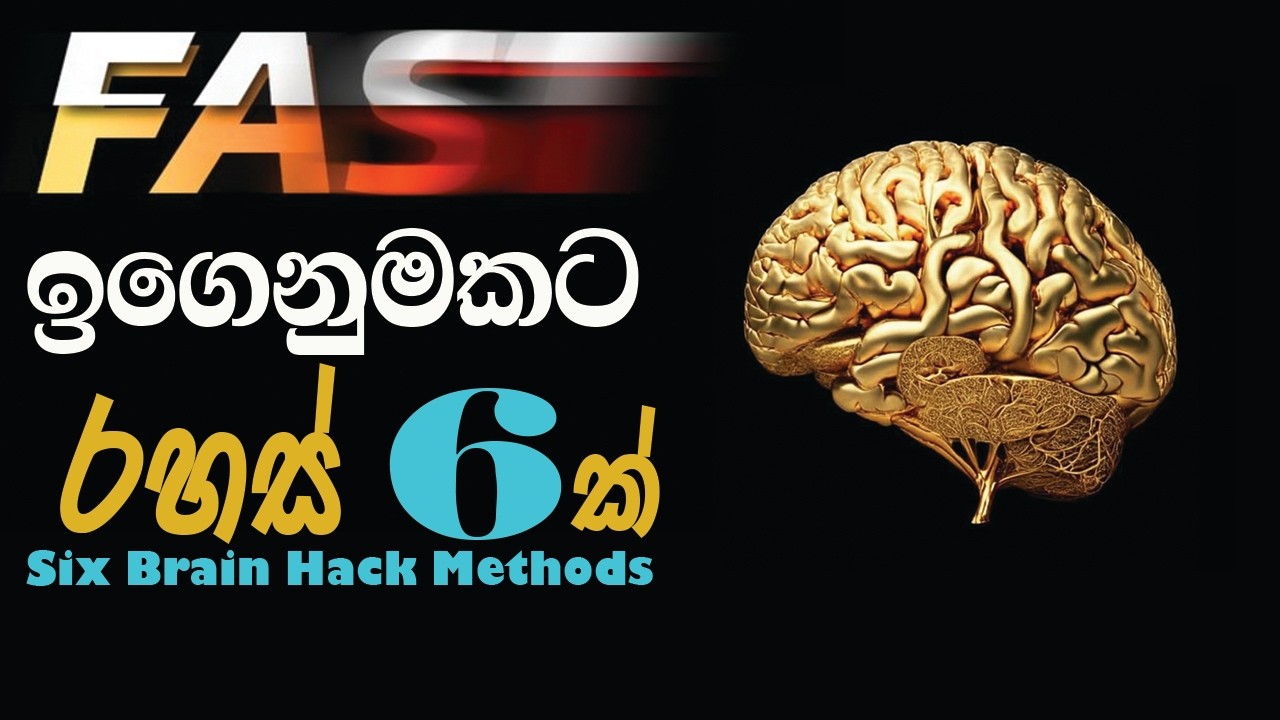 ඉක්මන් ඉගෙනුමට අවශ්‍යම රහස් 6ක් | Six brain hack methods for fast learning | Motivation video