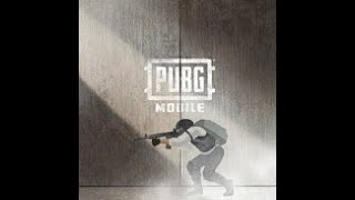 PUBG MUSIC : Wild Card