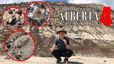 Horsethief Canyon is FULL of FOSSILS! | Exploring the Badlands: S4