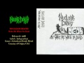 Nuclear death  wake me when im dead 1986 full demo