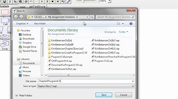 Decision Structures in Raptor