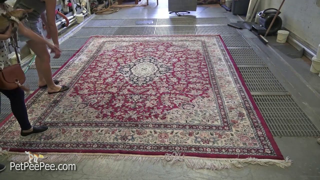 State of New Jersey Oriental rug cleaning from urine odor | PetPeePee®
