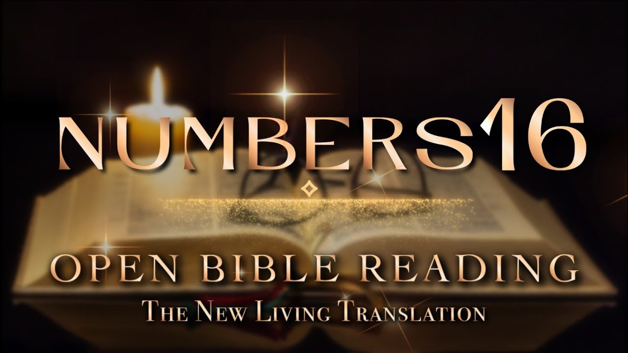 Open Bible Reading - Numbers Chapter 16 (NLT)