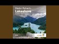 Lakeshore (MarioMos Remix)