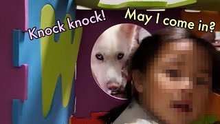 Famous My three dogs meet my 3-year old sister for Christmas Profile