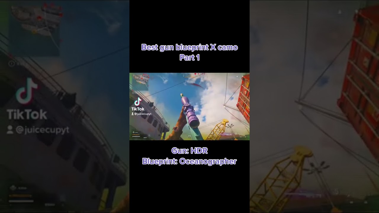 The best HDR blueprint and camo combination on warzone 