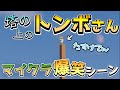 【切り抜き】塔の上のトンボさん【minecraft】