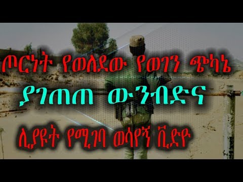 Ethiopia Sle Hiwot በኢትዮ ኤርትራ ጦርተነት ወቅት በገዛ ወገኖቻቸው የተመዘበሩት አሳዛኝ የወንጀል ታሪክ