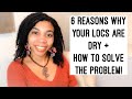 6 Reasons Why Your Locs Are DRY + Tips on How to Stop It!