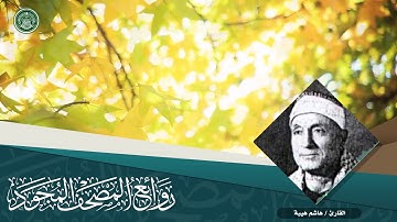 القارئ | هاشم هيبة