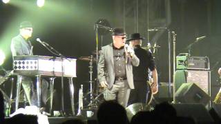Madness - Tarzans Nuts - House Of Fun Weekender