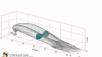 Rosette dense discharge in flowing water, 3DLIF results by Ozeair Abessi and Philip Roberts