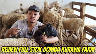 REVIEW FULL STOK DOMBA DORPER, TEXEL, BUNTINGAN DORPER HARGA 2 JUTA 500 DI KURAWA FARM KEDIRI