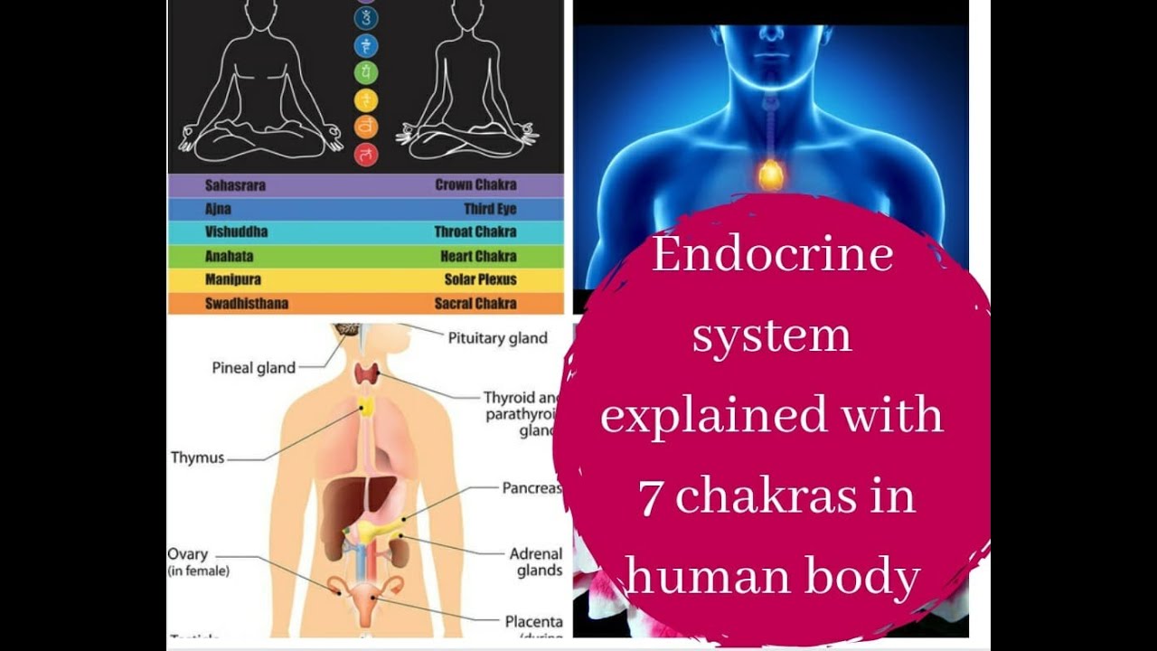 7 chakras explained with Endocrine system in tamil