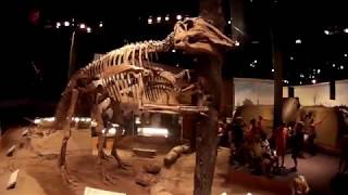 Royal Tyrrel Museum - Drumheller Alberta 2017