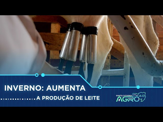 Produtividade na Pecuária de Leite | Canal Rural