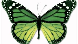 Eddie Kramer-Butterfly.wmv