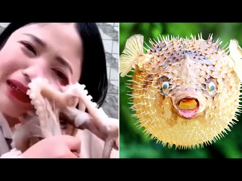 Most Dangerous Fish To Eat!
