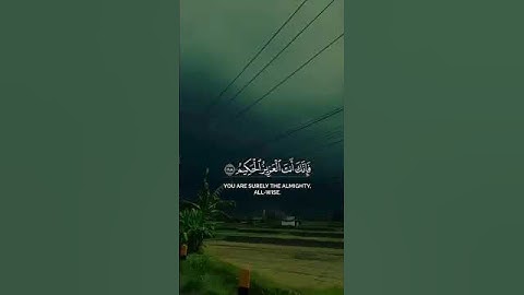 ان تعذبهم فانهم عبادك |سورة المائدة~الآية118~القارئ الشيخ #ياسر_الدوسري🎧