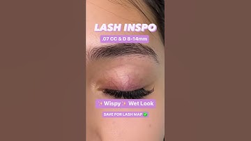 [LASH MAP] WET LASH WISPY STYLE MAPPING #lashtech #volumelashes #wispylashes