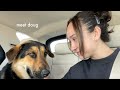VLOG // meet our new baby