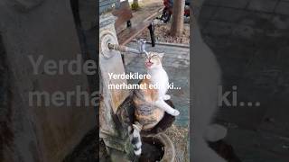 Yerdekilere Merhamet Edin Ki Göktekiler De Size Merhamet Etsin.