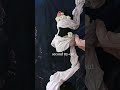creating Ovid's Aurora #ovidsmetamorphoses #ancientmythology