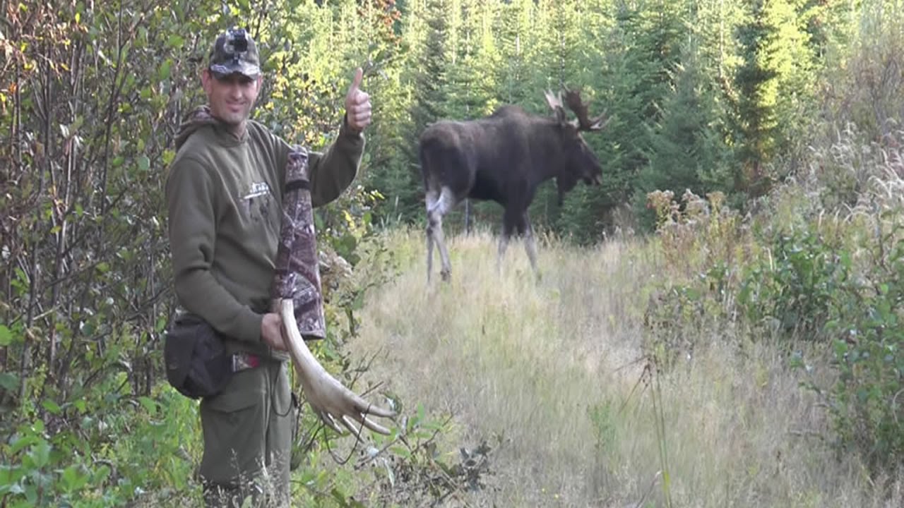 Le Cocall sur le terrain !
