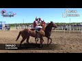 Carreras de Caballos en Madera, California 01 de Abril 2018