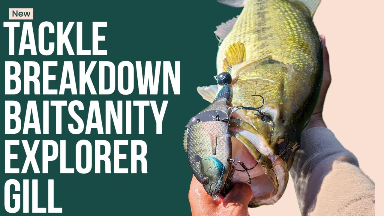 Baitsanity Explorer Gill Tackle Breakdown with @OliverNgy 