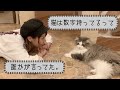 #7「秘蔵映像があるそうです」