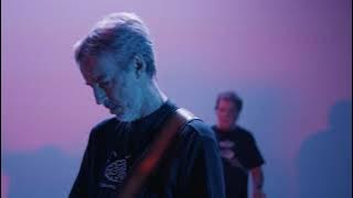 The Beautiful Brains, Serotonina 2020