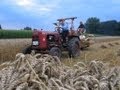 Historischer Feldtag - Getreide-Ernte u. Dreschen