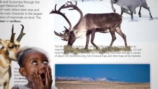 Nature’s Amazing Migrations