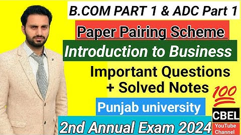 B.Com part 1 Introduction to Business important questions 2nd annual exam 2024 punjab university