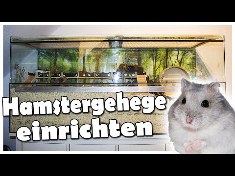 Hamstergehege / Nagerterrarium einrichten | 2021