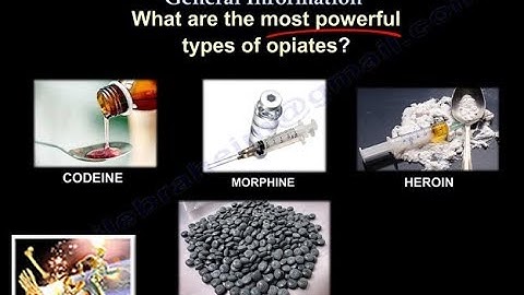 Opioid Epidemic General Information - Everything You Need To Know - Dr. Nabil Ebraheim