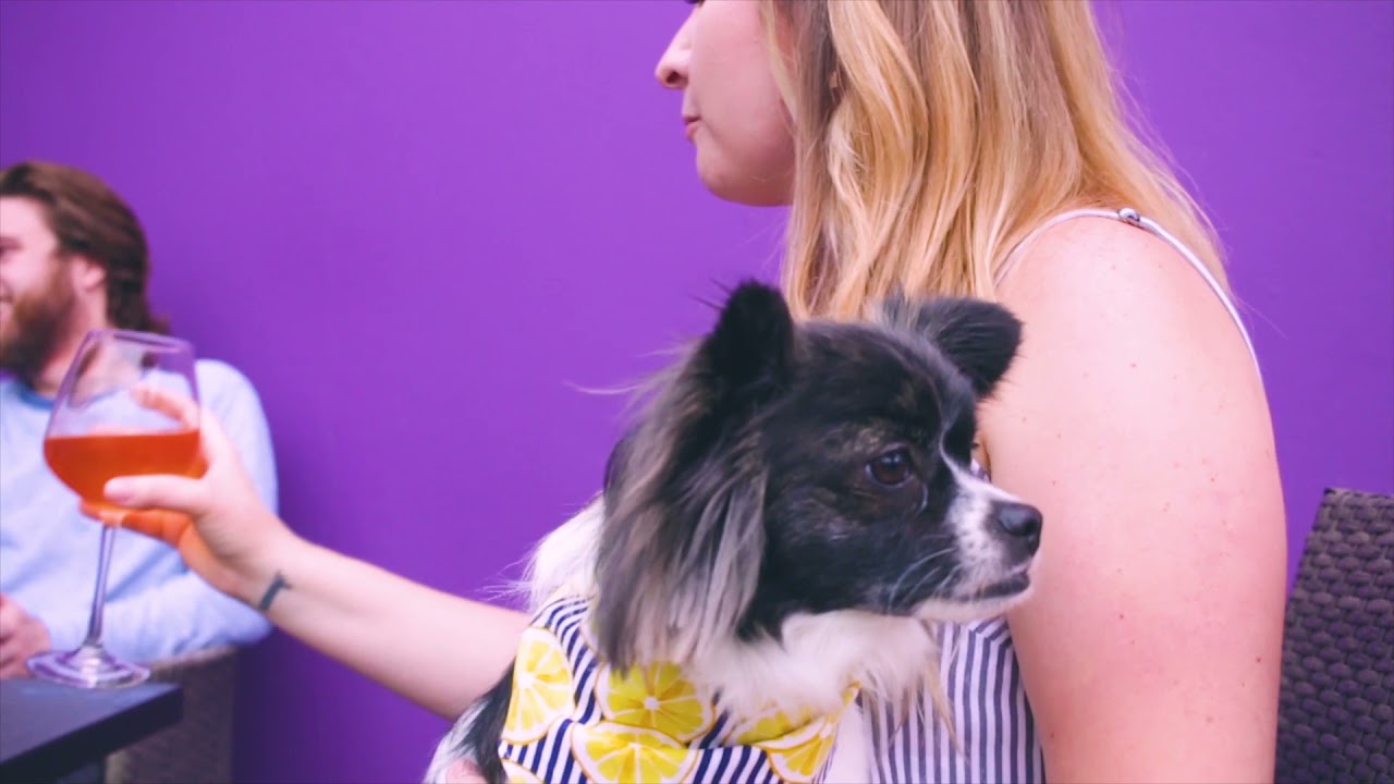 Courthouse Creek - Scotts Addition Advertisement