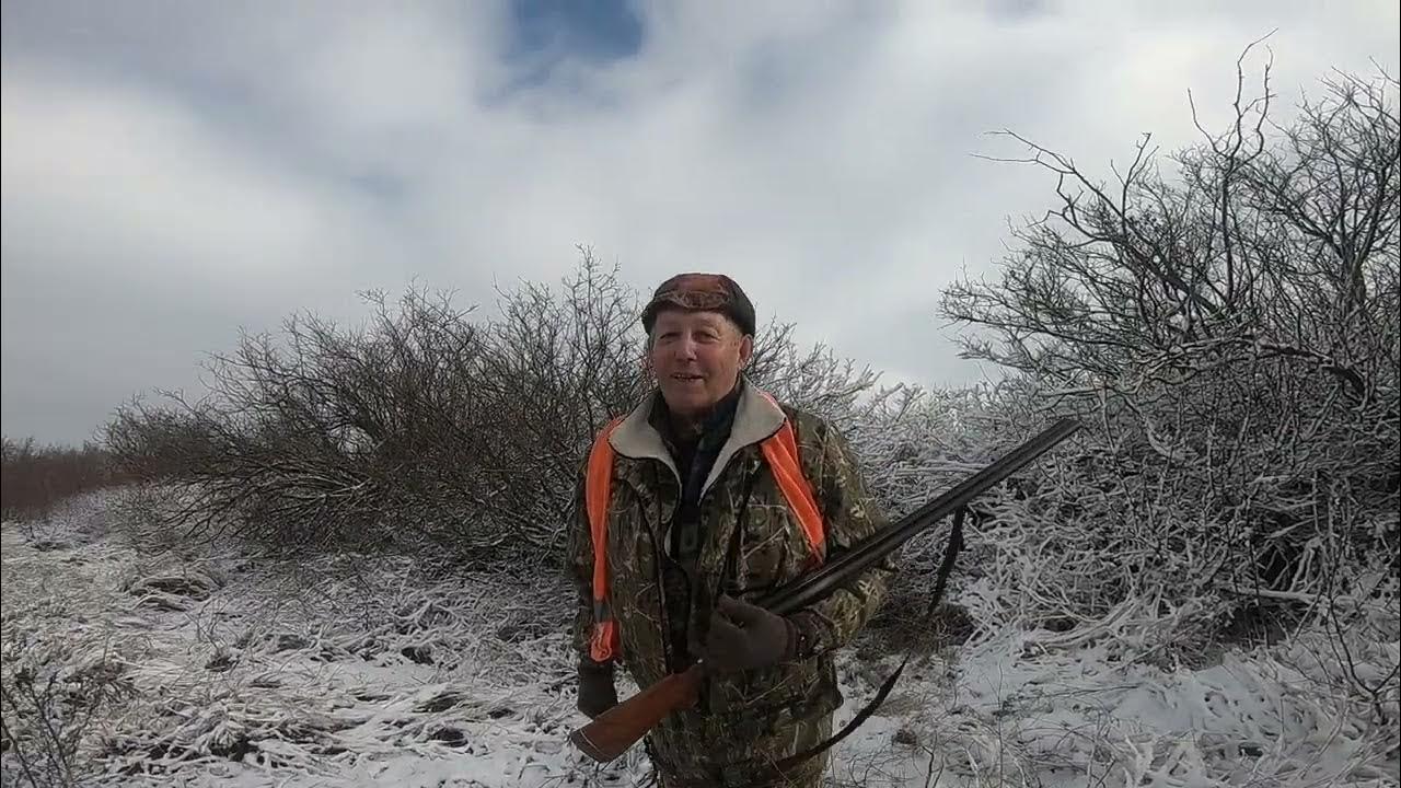 Календарь на 2023 год. Какого зайца будет 2023. 2023 год год кролика. Черный водяной кролик 2023. Кролик символ года.