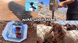 كيف تصنع حضيرة للأغنام 🐑🐏🐐 ع السريع .. نخش في الموضوع على طول