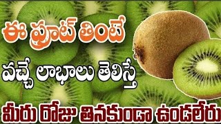 కివి పండు ఉపయోగాలు/ kiwi fruit health benefits