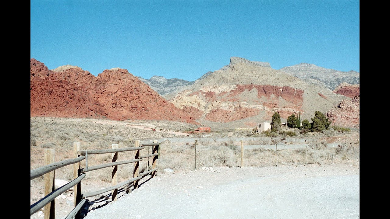 The Cambrian Explosion