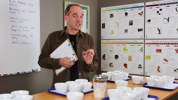 SCAA Pathways Education - Coffee Taster Level One Course - Willem Boot