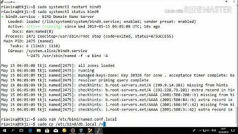Installing DNS Server (Bind9) On Ubuntu 18.04