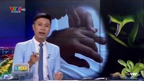 Rắn lục đuôi đỏ độc như thế nào và những lưu ý khi bị cắn (MC Khánh Long VTV)