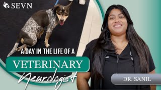 A Day in the Life of a Veterinary Neurologist || Dr. Sanil