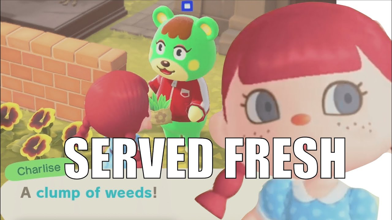 Wendy's Trolling Villagers Animal Crossing New Horizons YouTube