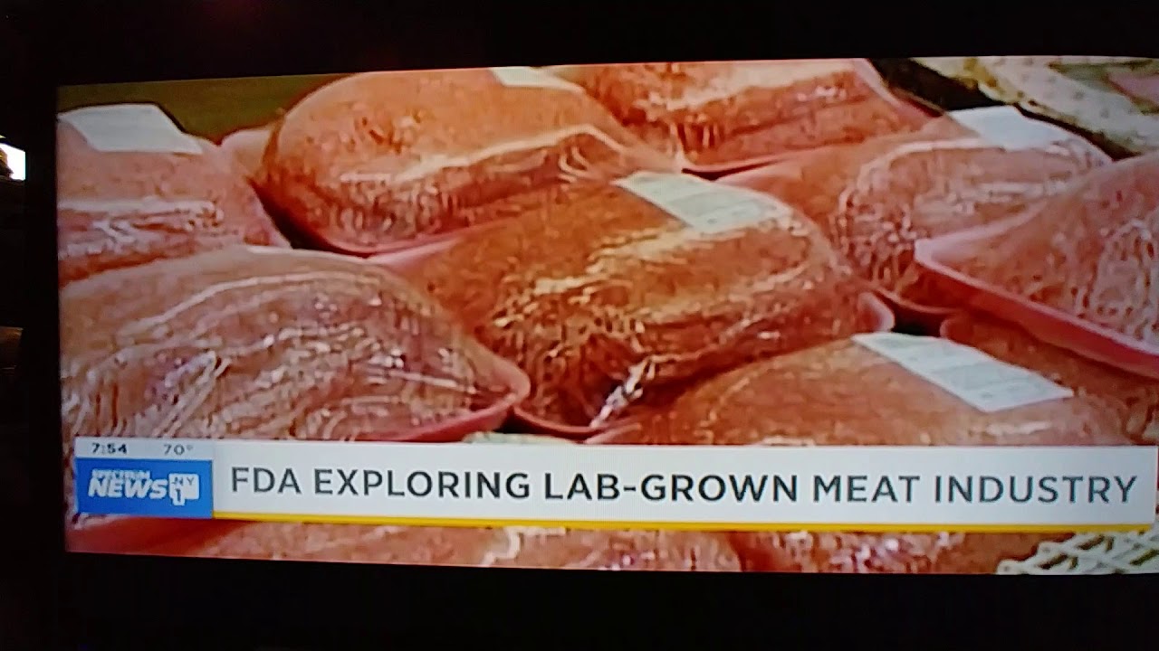FDA Exploring Lab Grown Meat Industry YouTube