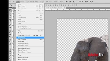 CS5 Roadshow: 5 New Photoshop CS5 Features | Adobe UK
